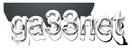 ga33net logo